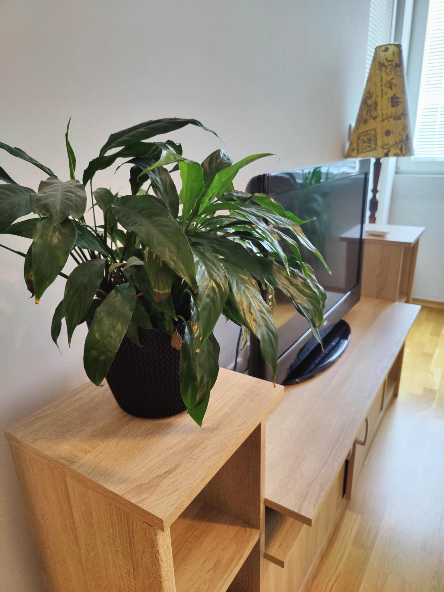Apartman Aleksic Ni 外观 照片